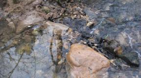 Как найти золото в реке: где искать, признаки местонахождения, как мыть