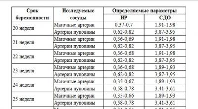 Doppler per donne in gravidanza: informazioni dettagliate sulla dopplerometria