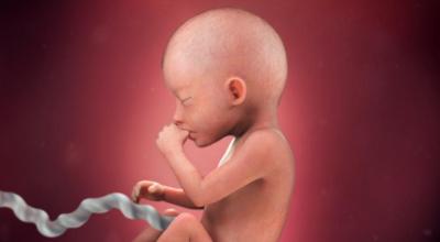 ორსულობის მეშვიდე თვე: ბავშვის განვითარება