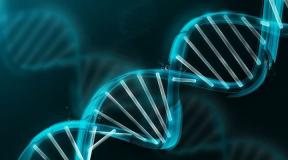 Необычные способы определения беременности до появления теста Правила взятия проб волос для анализа ДНК