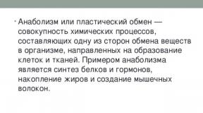 Энергия алмасуы – катаболизм тақырыбы бойынша биология сабағына (11 сынып) презентация