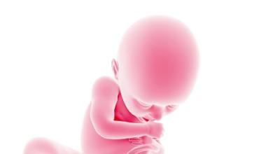 недель беременности, каменеет живот - значит скоро в роддом